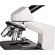 compound monocular microscope